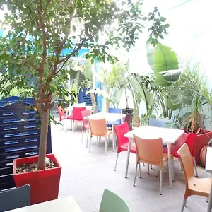 Parrots Hotell